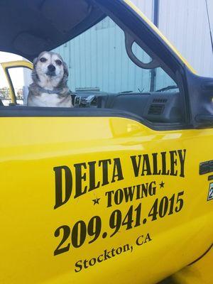 The official pooch of Delta Valley Towing!