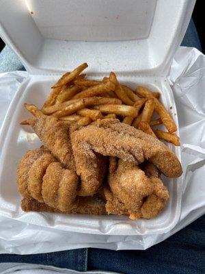 Catfish Fillet and fries