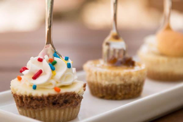 Bite-sized cheesecakes by She Imagined Sweets