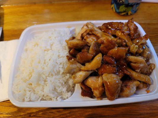 Closeup on the Chicken Teriyaki