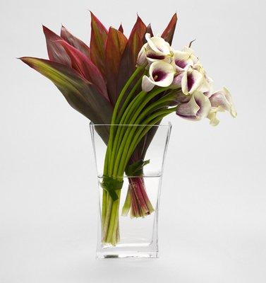 Picasso Calla Red Ti