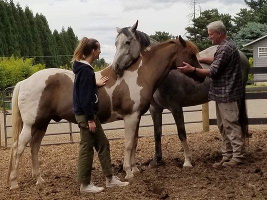 Horses provide great opportunities to experience connection.