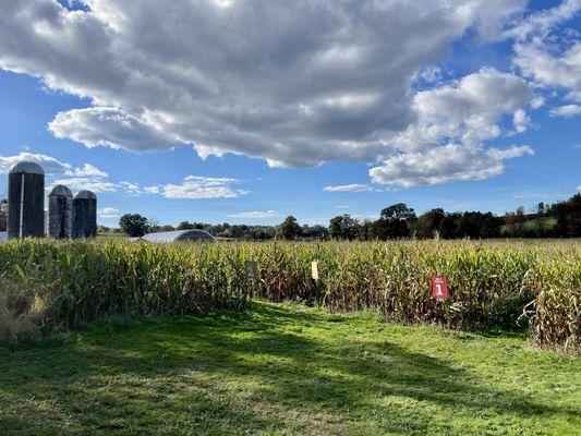 Wright Family Farm