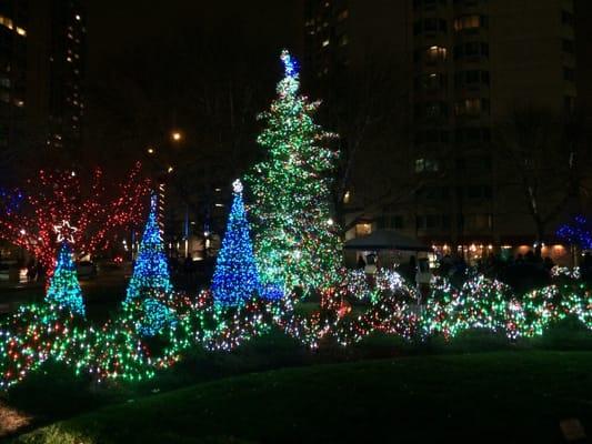 Holiday Lights at Newport Town Square