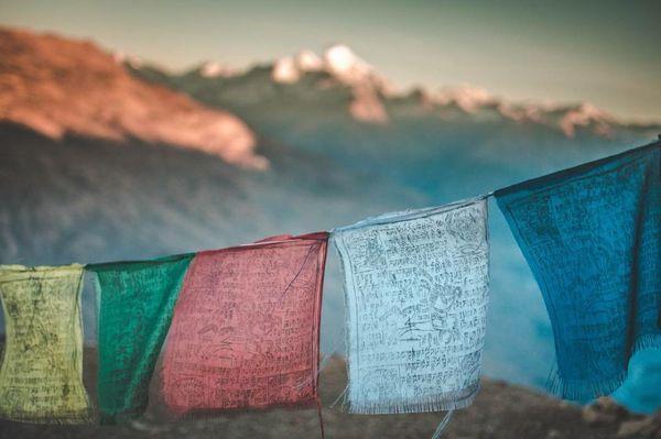 May there be no suffering!!! 

Prayer flags carrying these wishes for all sentient beings.