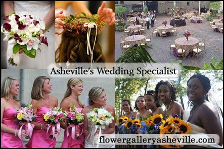 Asheville's Wedding Specialist for over 25 years.