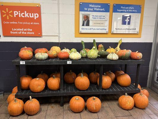 Right side pumpkin variety