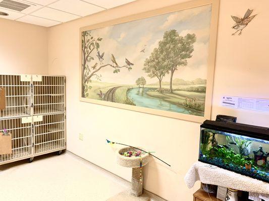 Brookfield Animal Hospital