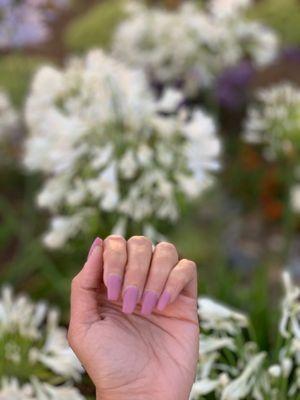 Lavender matte Powder nails