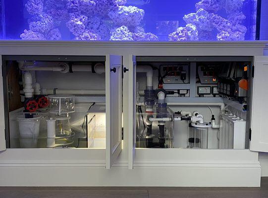 Filtration and Wire management set up perfectly for this 269 gallon custom reef aquarium.