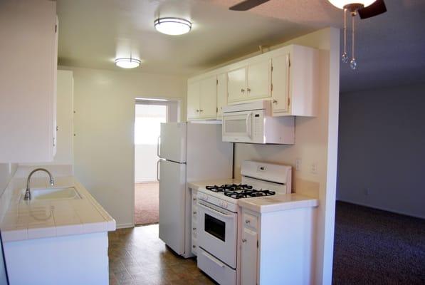 All kitchens come with built-in microwave, gas stove, full size dishwasher, and refrigerator.