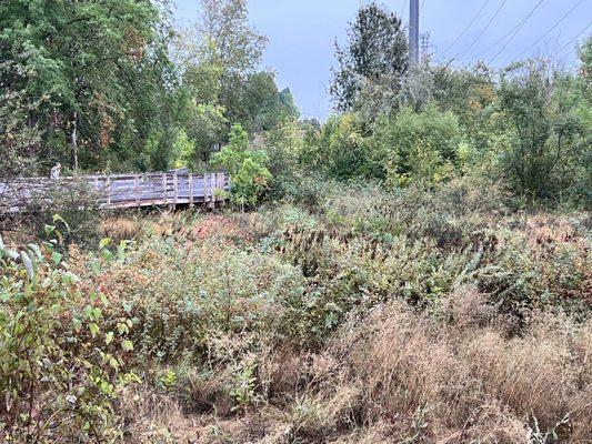 Willow Creek Greenway