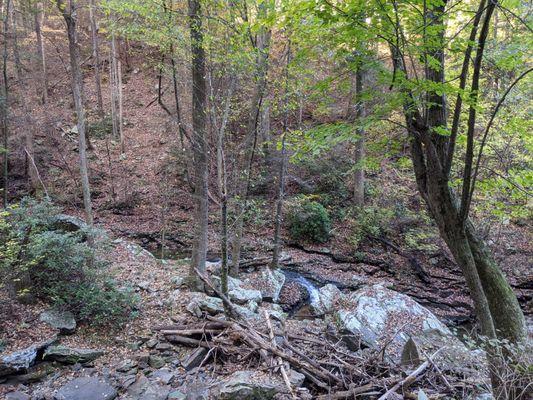 Cloudland Canyon State Park