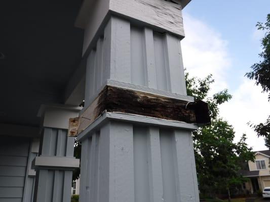 Column dry rot