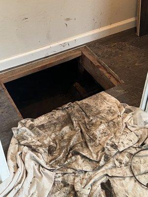 This was the crawl space access in a closet. They put down drop cloths and cleaned up immaculately afterwards.