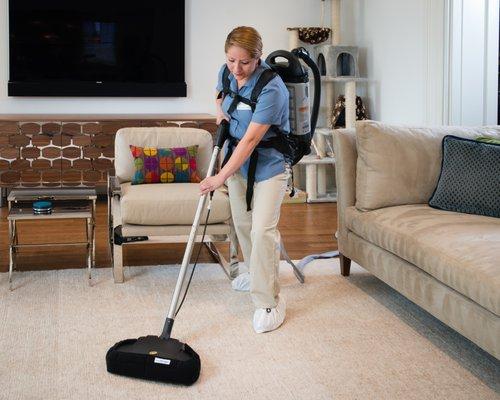 A power head and a professional vacuum for carpeted areas