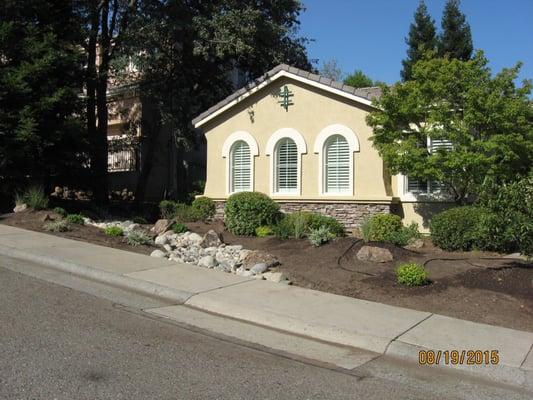 Tim Perron, also known as The Yard Guy, and his crew, did our drought-resistant make-over in a week's time.