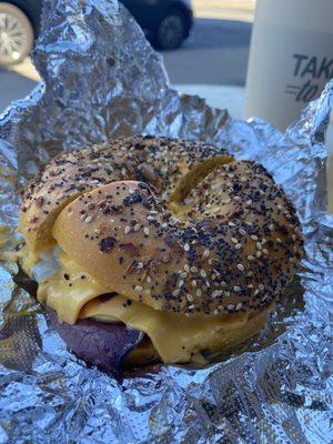 Pastrami with cheese on everything was Egg Everything Bagel