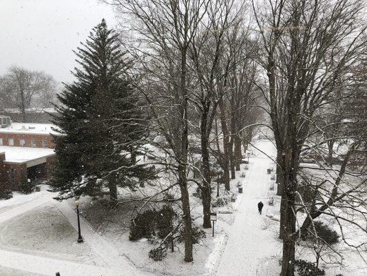 Looking west from Stroud Hall.