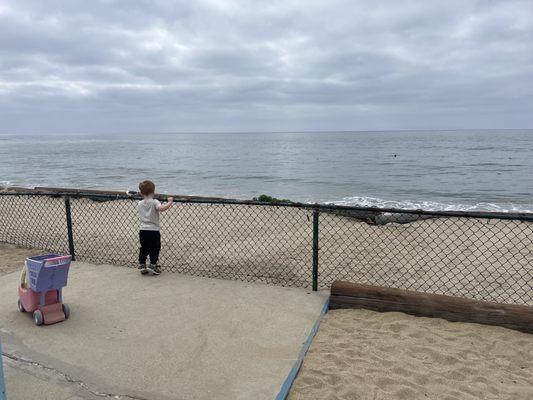 Enjoying the view, befriending a seagull. Normal stuff for this preschool.