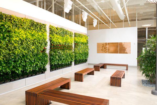 LIVING WALLS