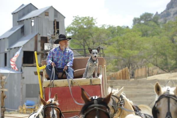 A Must Do in Virginia City. Taken July 18, 2014