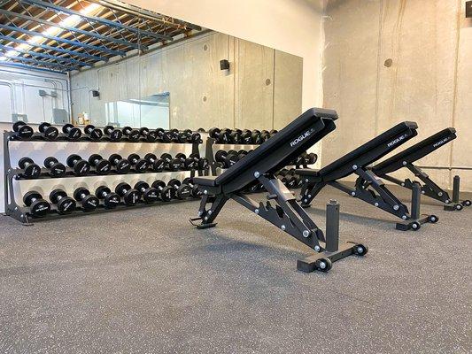 Dumbbell area