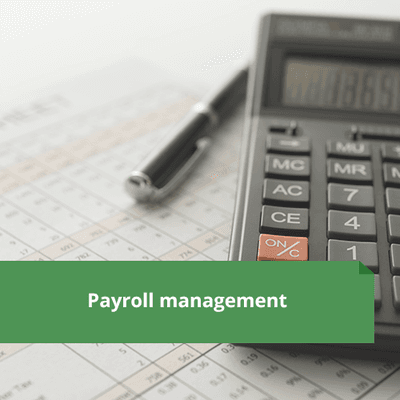 We offer all-in-one payroll services for all sizes of companies, incl. statements, reconciliation and tax preparation.