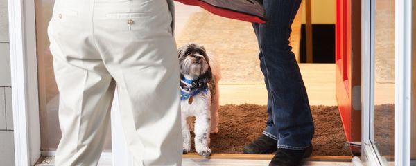 Visit Invisible Fence® Brand to learn how to keep your dog from jumping on your guests.