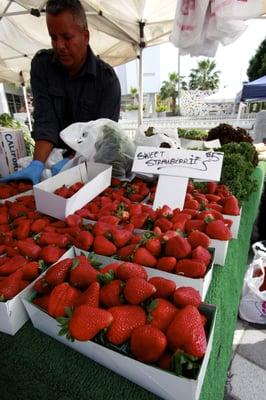 Strawberries are ultra sweet!