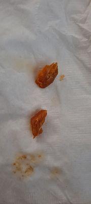 Two bones that were in my chorizo burrito!!