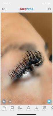 Lashes Reno