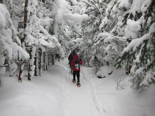 Snowshoeing in Lake Placid, Mt Marcy