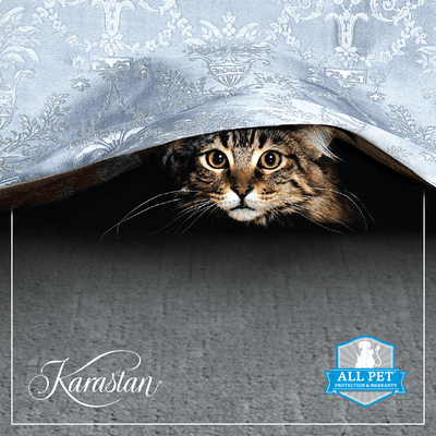 Karastan All Pet $3.00 Instant In-Store Rebate on select Smart Strand Forever Clean Styles through September 4th, 2019