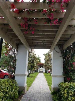 Flowered trellis in parking lot