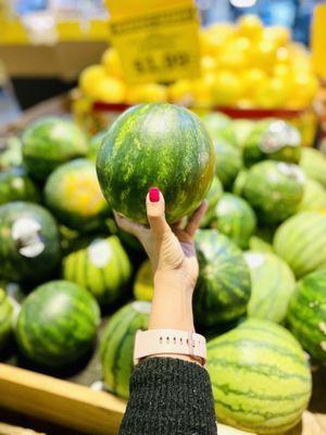 They have tiny watermelons! Summer came early?