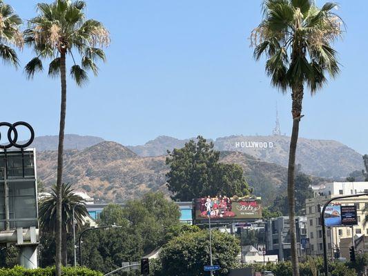 Hollywood Sign