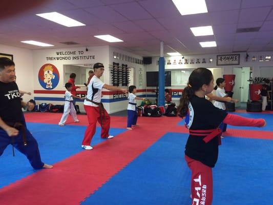 Tae Kwon Do Institute