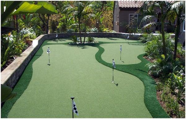 Backyard Golf