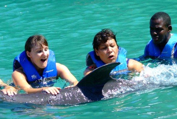 Dolphin Program in the Caribbean