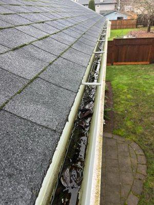 Here are my gutters the day I paid Justin $400 to clean them!