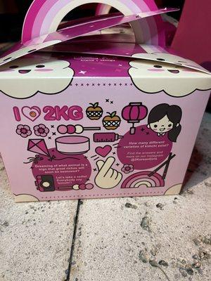 2 Korean Girls cool takeout box