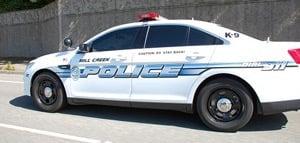 Mill Creek City Police