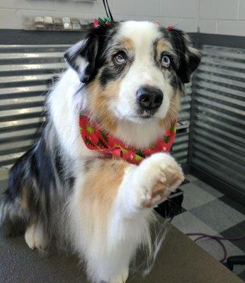 Tori, cute Aussie wave!