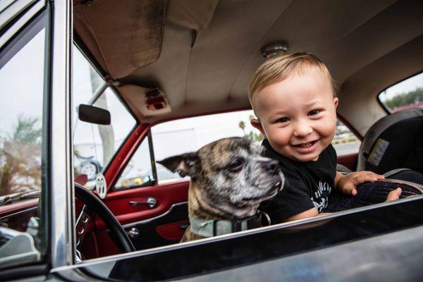 Our lil boy Atom and shop pup Hudson!