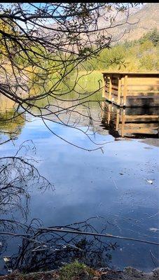 Small pond