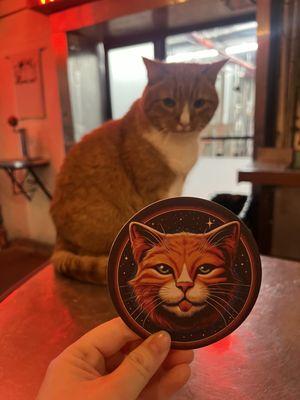 Brownie has his own coaster - he's the coolest