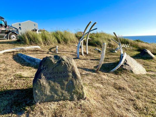 Another park along the trails around Nye Beach all about whales!! This one has some whale bones and lovely poems and info!