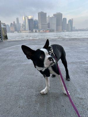 Governors Island Ferry