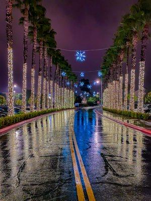 Palm wraps and Starbursts installed at Temecula Promenade